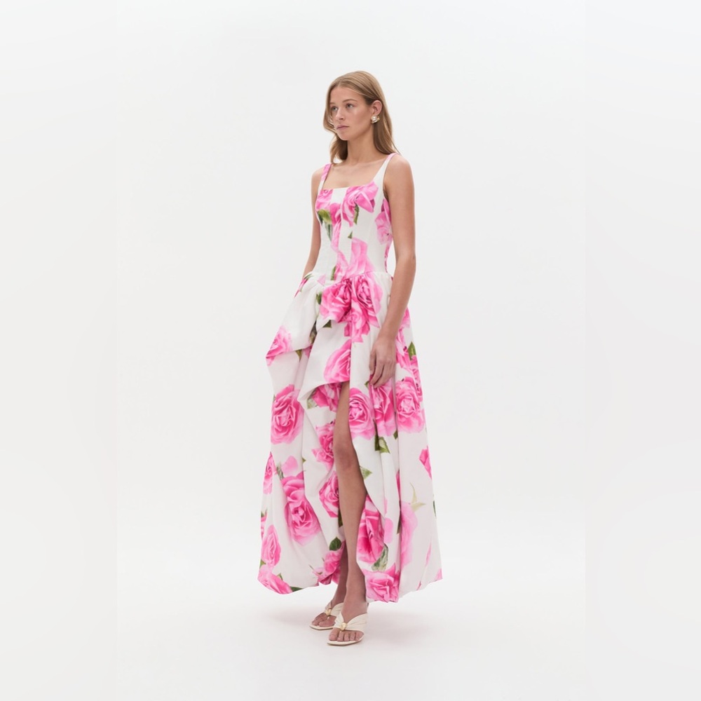 Aje Alani Rose Floral-Print Corset Cotton Ball Gown Bubble Hem AU6/US2 - Picture 4 of 13